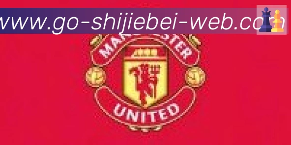 美加墨世界杯资讯官方网站合作伙伴